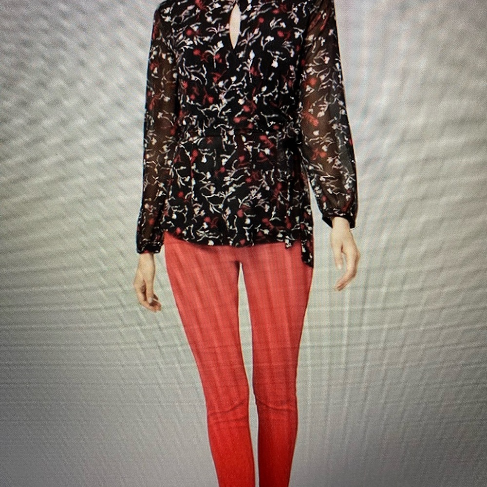 Black Floral Sheer V-Neck Long-Sleeve Blouse